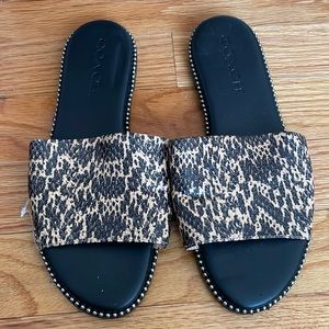 Coach Animal Print Slides